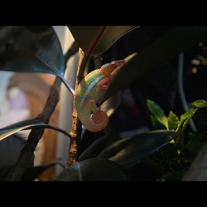 Meet your Posher, Madison